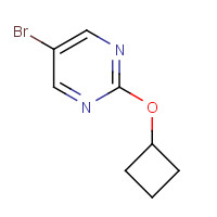 1260833-40-6 5-bromo-2-cyclobutyloxypyrimidine chemical structure