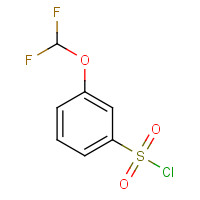 351003-38-8 3-(difluoromethoxy)benzenesulfonyl chloride chemical structure