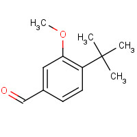 1017060-05-7 4-tert-butyl-3-methoxybenzaldehyde chemical structure
