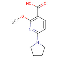 1228665-72-2 2-methoxy-6-pyrrolidin-1-ylpyridine-3-carboxylic acid chemical structure