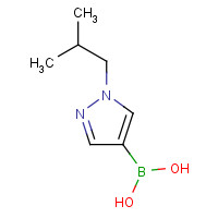 929094-25-7 [1-(2-methylpropyl)pyrazol-4-yl]boronic acid chemical structure