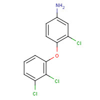 317336-87-1 3-chloro-4-(2,3-dichlorophenoxy)aniline chemical structure