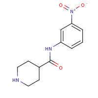 883106-61-4 N-(3-nitrophenyl)piperidine-4-carboxamide chemical structure