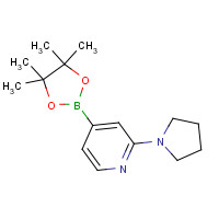 1259445-03-8 2-pyrrolidin-1-yl-4-(4,4,5,5-tetramethyl-1,3,2-dioxaborolan-2-yl)pyridine chemical structure