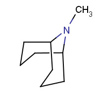 491-25-8 9-methyl-9-azabicyclo[3.3.1]nonane chemical structure
