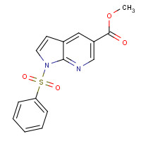 1083181-12-7 methyl 1-(benzenesulfonyl)pyrrolo[2,3-b]pyridine-5-carboxylate chemical structure