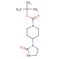 902133-63-5 tert-butyl 4-(2-oxoimidazolidin-1-yl)piperidine-1-carboxylate chemical structure