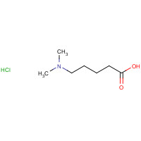 25726-28-7 5-(dimethylamino)pentanoic acid;hydrochloride chemical structure