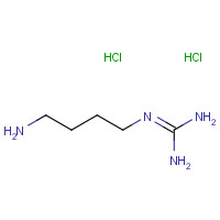 334-18-9 2-(4-aminobutyl)guanidine;dihydrochloride chemical structure