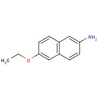 293733-21-8 6-ethoxynaphthalen-2-amine chemical structure