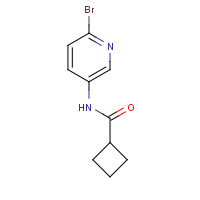 885267-03-8 N-(6-bromopyridin-3-yl)cyclobutanecarboxamide chemical structure