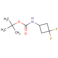 1029720-19-1 tert-butyl N-(3,3-difluorocyclobutyl)carbamate chemical structure