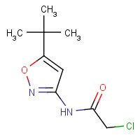 55809-27-3 N-(5-tert-butyl-1,2-oxazol-3-yl)-2-chloroacetamide chemical structure