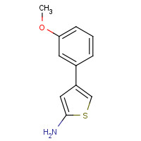 1266887-82-4 4-(3-methoxyphenyl)thiophen-2-amine chemical structure