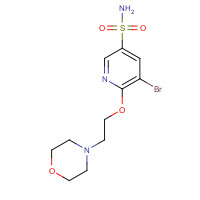 1228874-52-9 5-bromo-6-(2-morpholin-4-ylethoxy)pyridine-3-sulfonamide chemical structure