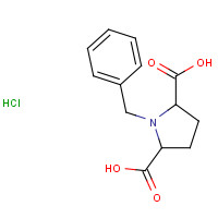 325146-20-1 1-benzylpyrrolidine-2,5-dicarboxylic acid;hydrochloride chemical structure