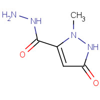 844891-24-3 2-methyl-5-oxo-1H-pyrazole-3-carbohydrazide chemical structure