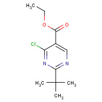 1011464-42-8 ethyl 2-tert-butyl-4-chloropyrimidine-5-carboxylate chemical structure