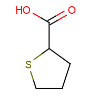 19418-11-2 thiolane-2-carboxylic acid chemical structure
