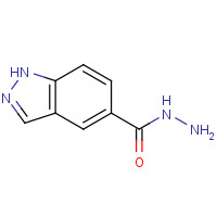 1005205-25-3 1H-indazole-5-carbohydrazide chemical structure