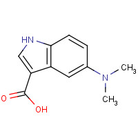 1427795-66-1 5-(dimethylamino)-1H-indole-3-carboxylic acid chemical structure