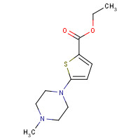 1035271-19-2 ethyl 5-(4-methylpiperazin-1-yl)thiophene-2-carboxylate chemical structure