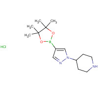 1175273-62-7 4-[4-(4,4,5,5-tetramethyl-1,3,2-dioxaborolan-2-yl)pyrazol-1-yl]piperidine;hydrochloride chemical structure