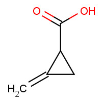 62266-36-8 2-methylidenecyclopropane-1-carboxylic acid chemical structure