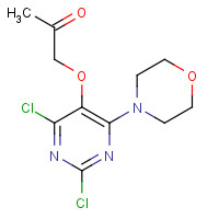 1572048-36-2 1-(2,4-dichloro-6-morpholin-4-ylpyrimidin-5-yl)oxypropan-2-one chemical structure