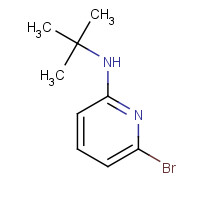 463336-73-4 6-bromo-N-tert-butylpyridin-2-amine chemical structure
