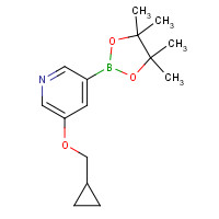 1257553-87-9 3-(cyclopropylmethoxy)-5-(4,4,5,5-tetramethyl-1,3,2-dioxaborolan-2-yl)pyridine chemical structure