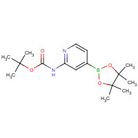 1095708-32-9 tert-butyl N-[4-(4,4,5,5-tetramethyl-1,3,2-dioxaborolan-2-yl)pyridin-2-yl]carbamate chemical structure