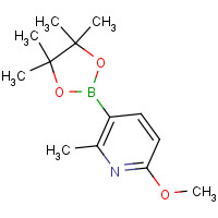 1080028-73-4 6-methoxy-2-methyl-3-(4,4,5,5-tetramethyl-1,3,2-dioxaborolan-2-yl)pyridine chemical structure