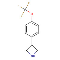 1260767-61-0 3-[4-(trifluoromethoxy)phenyl]azetidine chemical structure