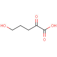 104092-74-2 5-hydroxy-2-oxopentanoic acid chemical structure