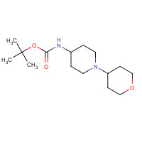 873537-63-4 tert-butyl N-[1-(oxan-4-yl)piperidin-4-yl]carbamate chemical structure