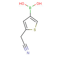 1065185-02-5 [5-(cyanomethyl)thiophen-3-yl]boronic acid chemical structure