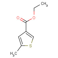 19163-50-9 ethyl 5-methylthiophene-3-carboxylate chemical structure