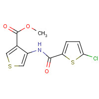 929214-74-4 methyl 4-[(5-chlorothiophene-2-carbonyl)amino]thiophene-3-carboxylate chemical structure