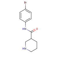 749846-52-4 N-(4-bromophenyl)piperidine-3-carboxamide chemical structure
