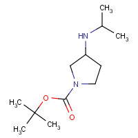 1289385-05-2 tert-butyl 3-(propan-2-ylamino)pyrrolidine-1-carboxylate chemical structure