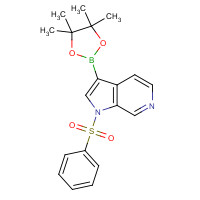 1174038-65-3 1-(benzenesulfonyl)-3-(4,4,5,5-tetramethyl-1,3,2-dioxaborolan-2-yl)pyrrolo[2,3-c]pyridine chemical structure