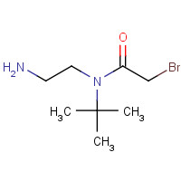 1284246-99-6 N-(2-aminoethyl)-2-bromo-N-tert-butylacetamide chemical structure