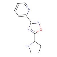 885277-84-9 3-pyridin-2-yl-5-pyrrolidin-2-yl-1,2,4-oxadiazole chemical structure