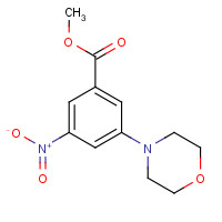 641570-95-8 methyl 3-morpholin-4-yl-5-nitrobenzoate chemical structure