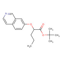 405271-98-9 tert-butyl 2-isoquinolin-7-yloxypentanoate chemical structure