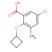 1092448-17-3 5-chloro-2-cyclobutyloxy-3-methylbenzoic acid chemical structure