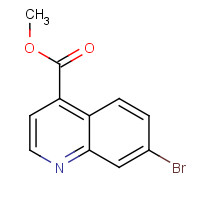 220844-76-8 methyl 7-bromoquinoline-4-carboxylate chemical structure