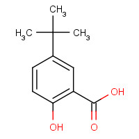 16094-31-8 5-tert-butyl-2-hydroxybenzoic acid chemical structure