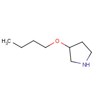 946715-13-5 3-butoxypyrrolidine chemical structure
